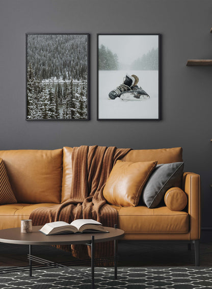 Ice Skates, Poster