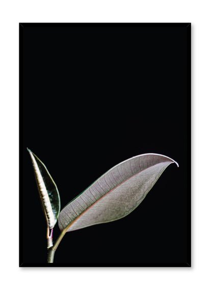 Leaf, Poster