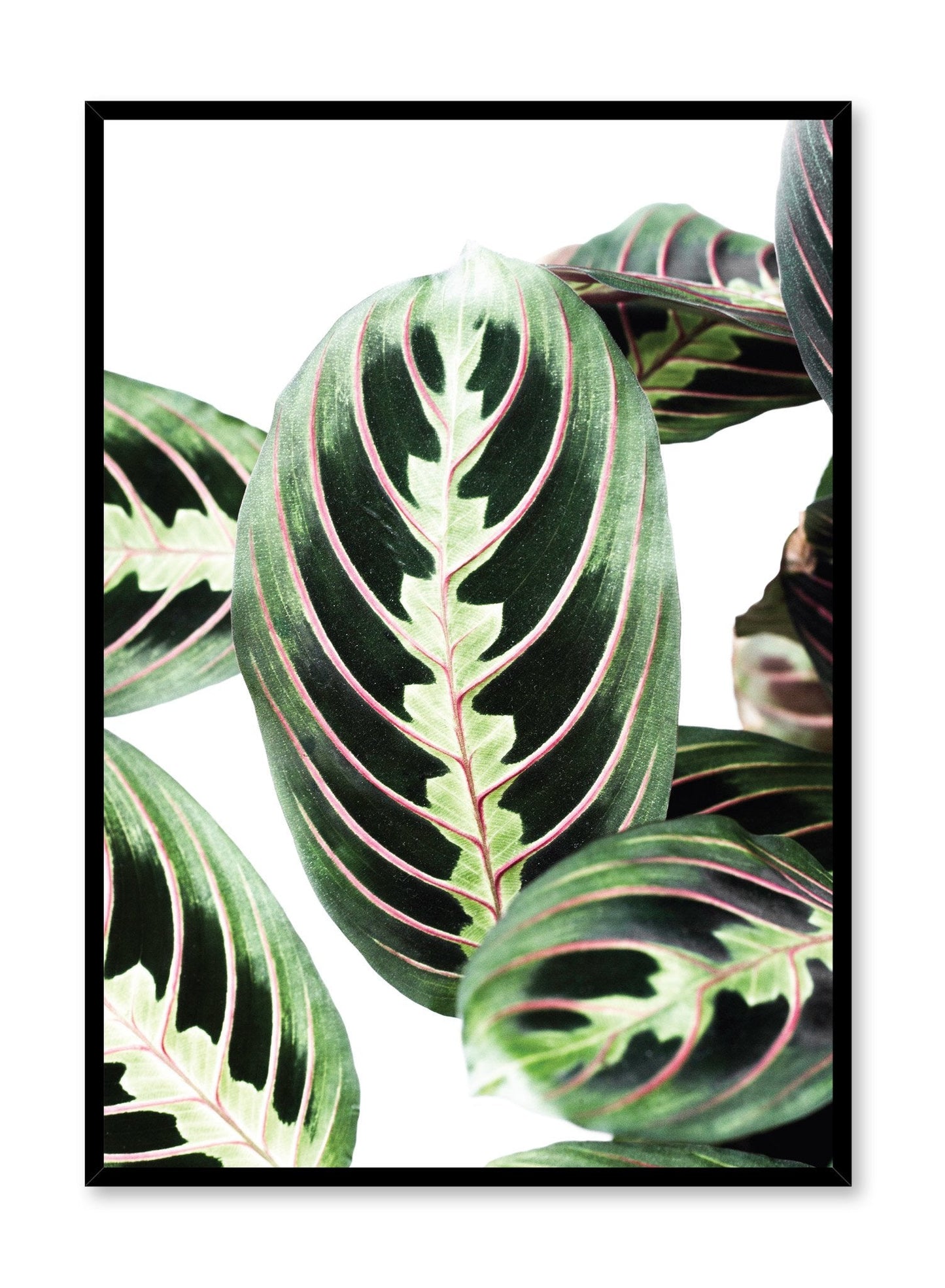 Leafy, Poster