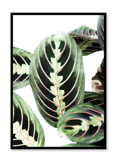 Leafy, Poster