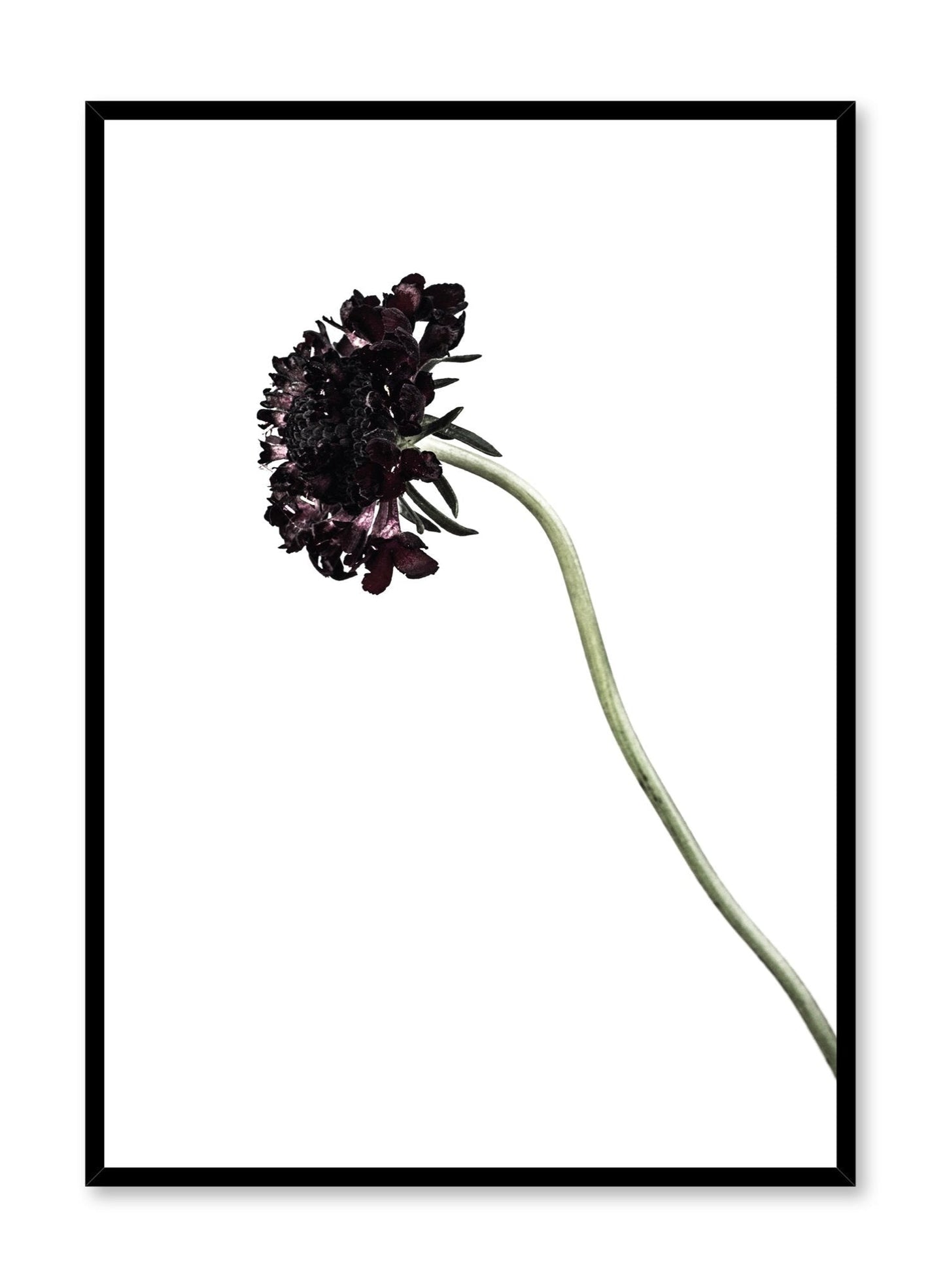 Black Knight, Poster