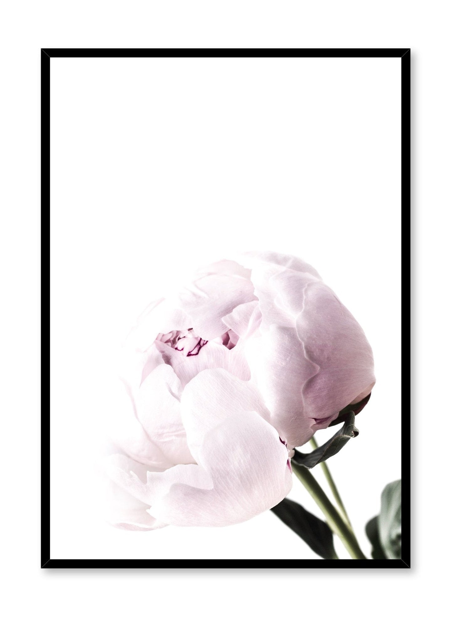 Bloom, Poster