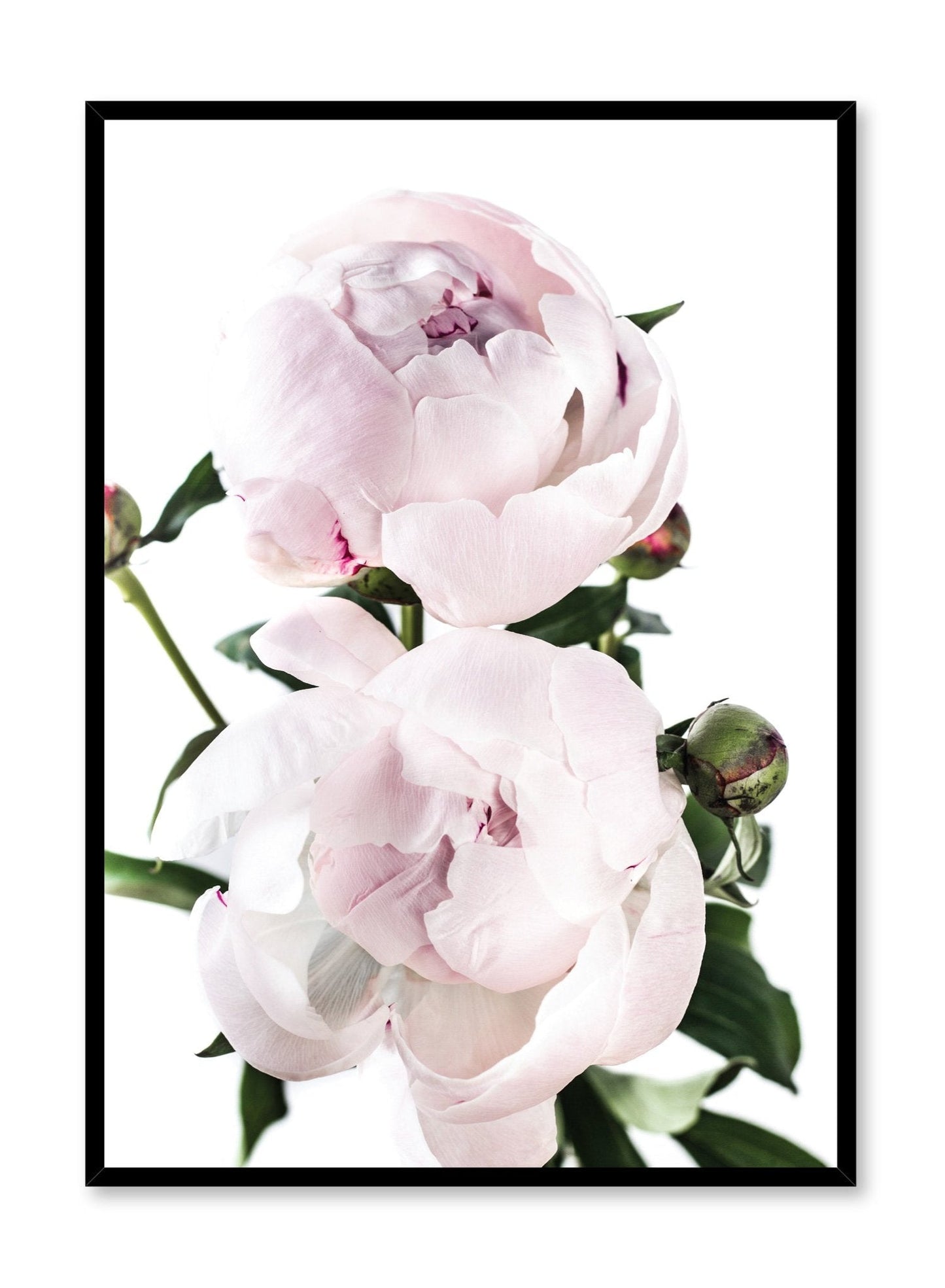 Lovers, Poster