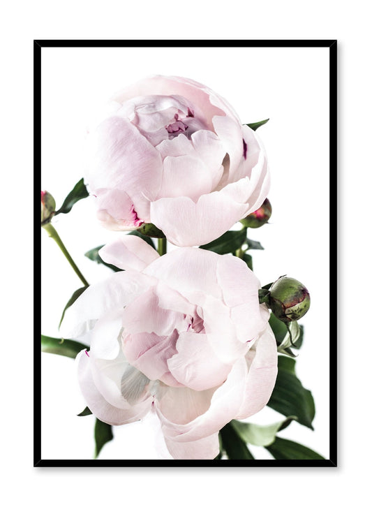 Lovers, Poster