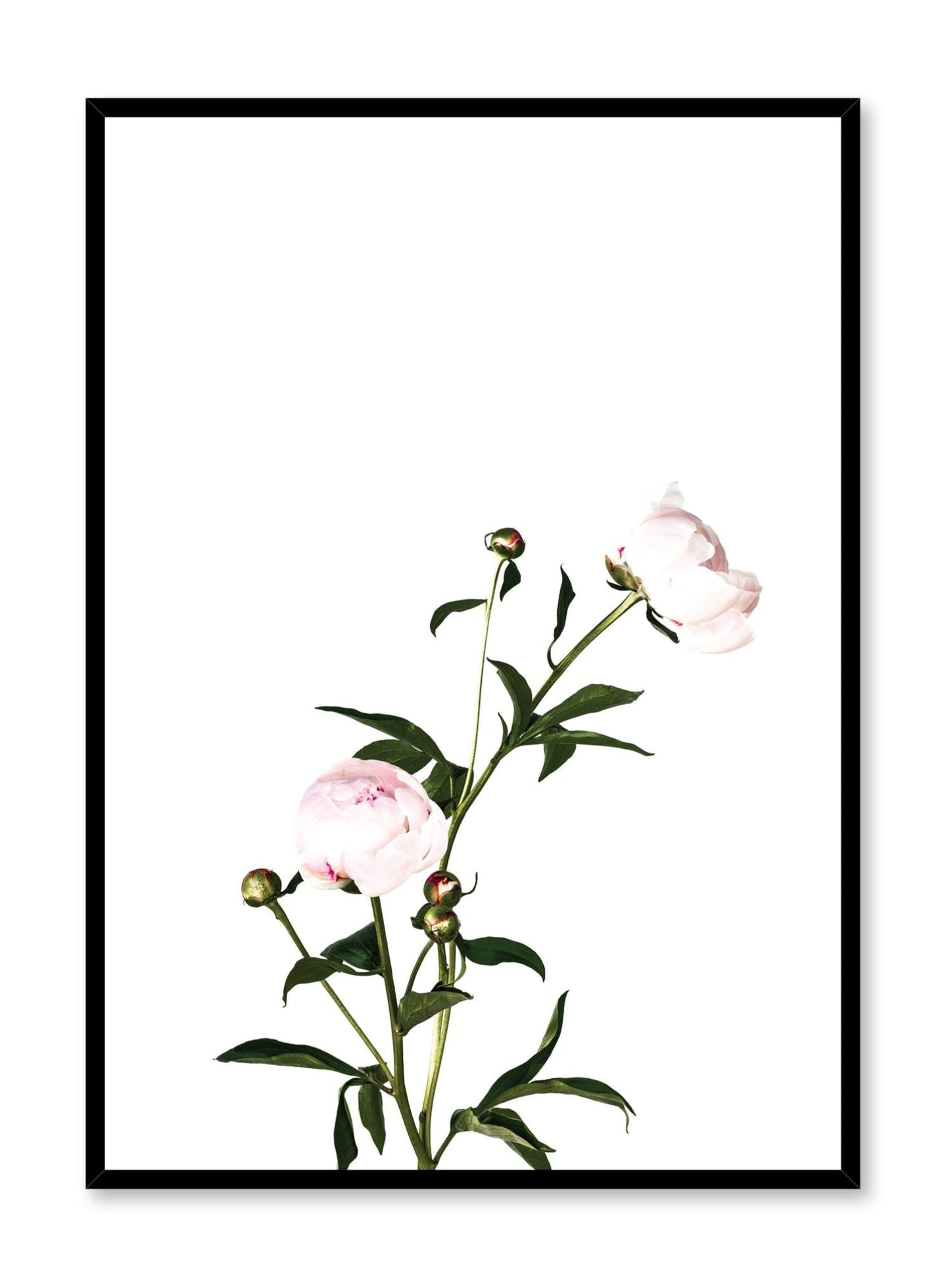 Romance, Poster