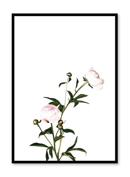 Romance, Poster