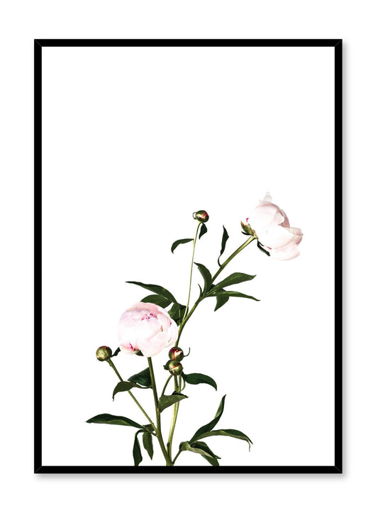 Romance, Poster