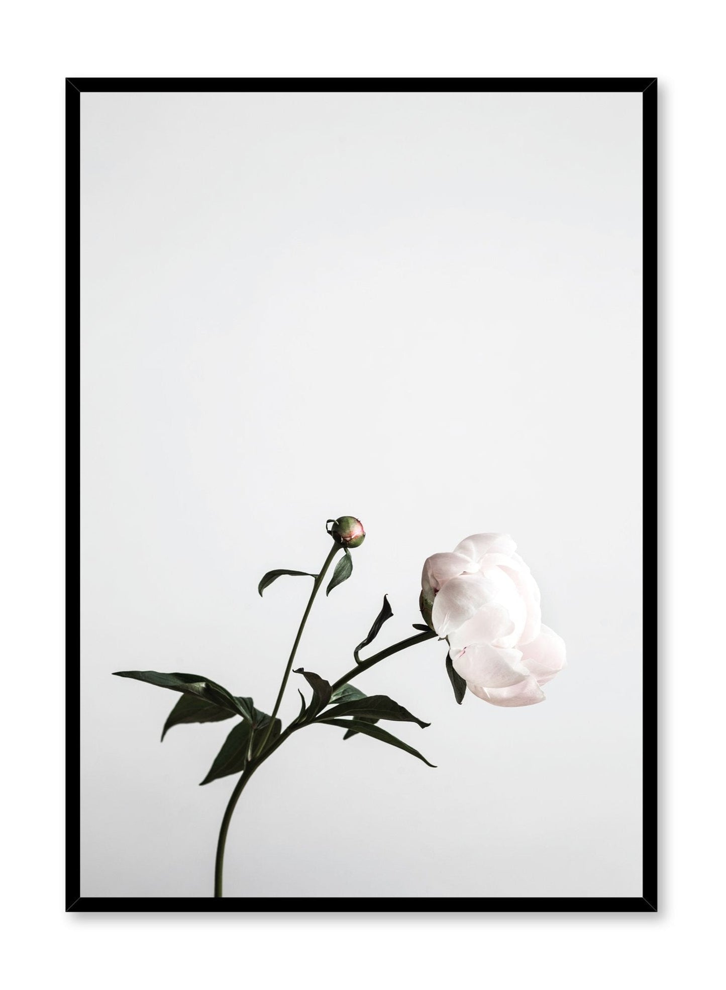 Hope, Poster