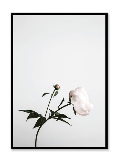Hope, Poster