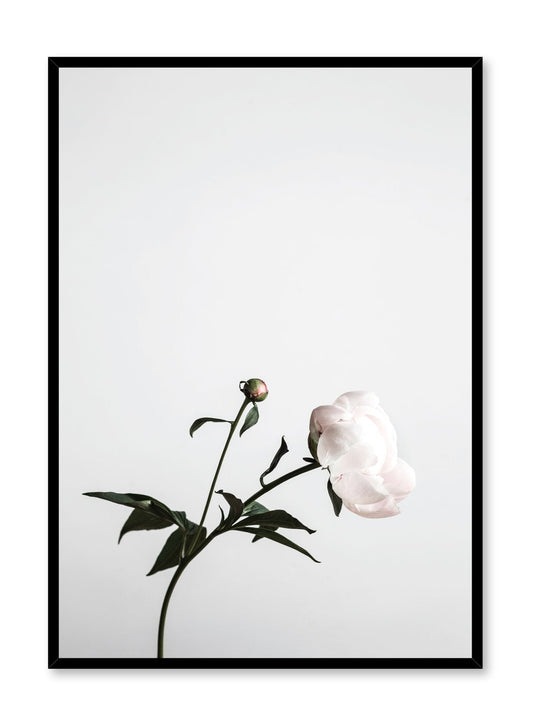 Hope, Poster