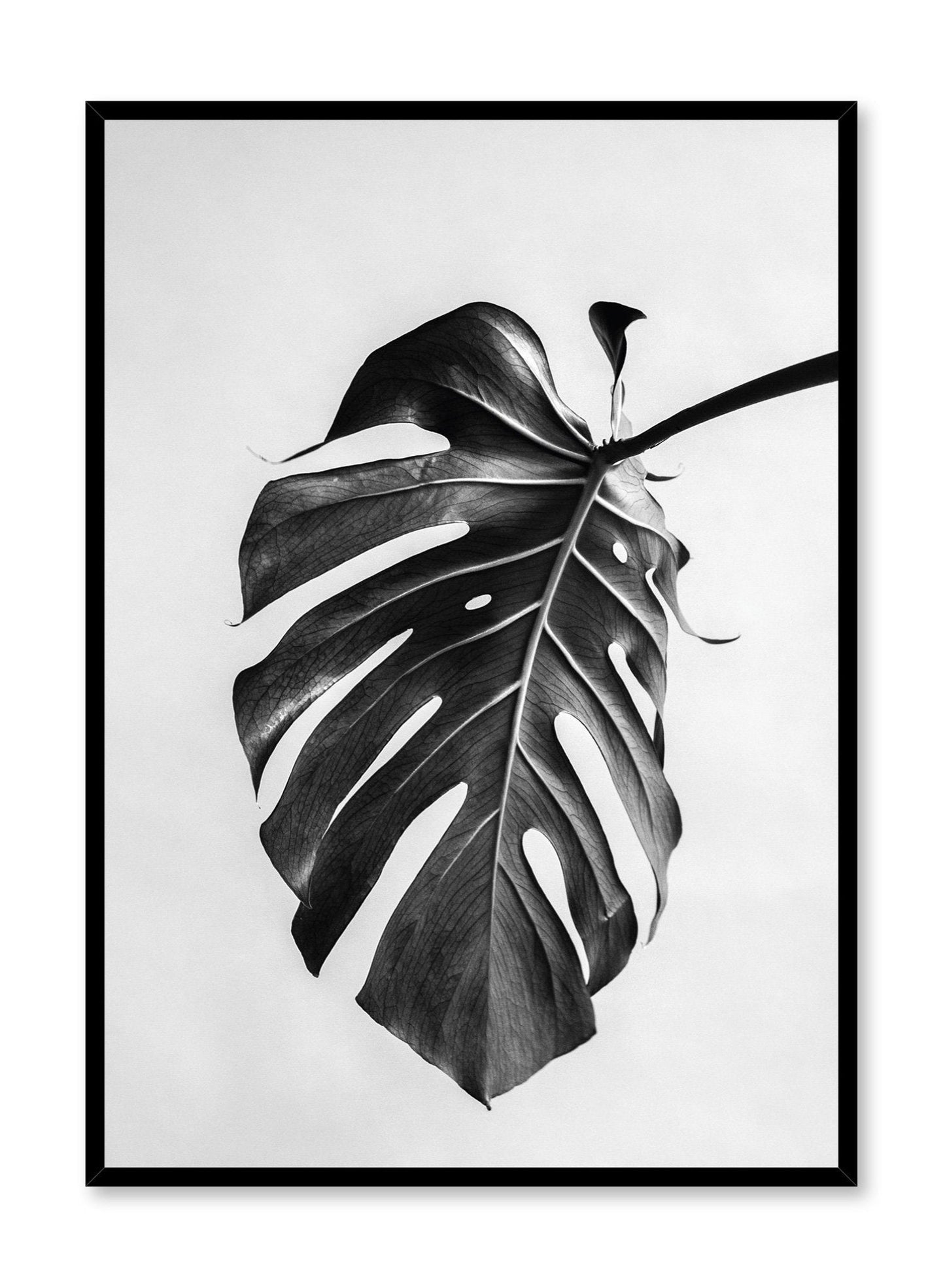 Nature's Upside, Poster