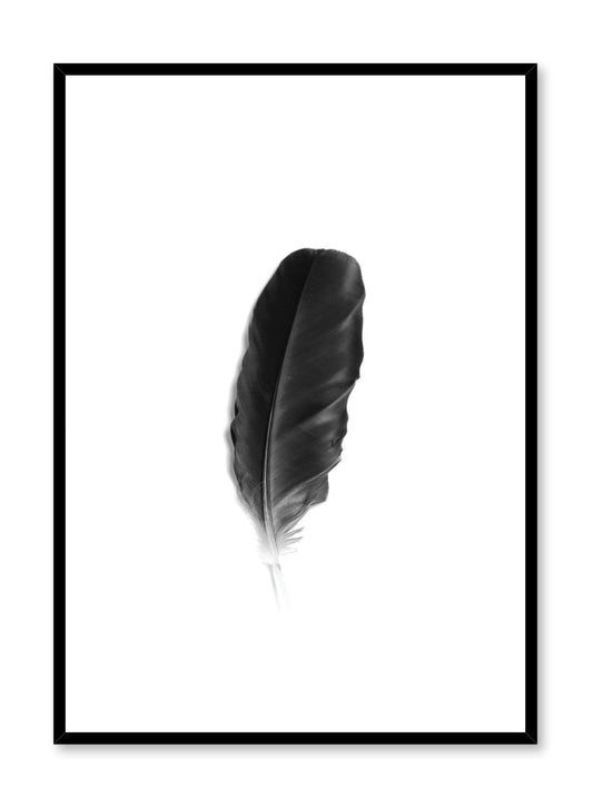 Fine Feather, Poster