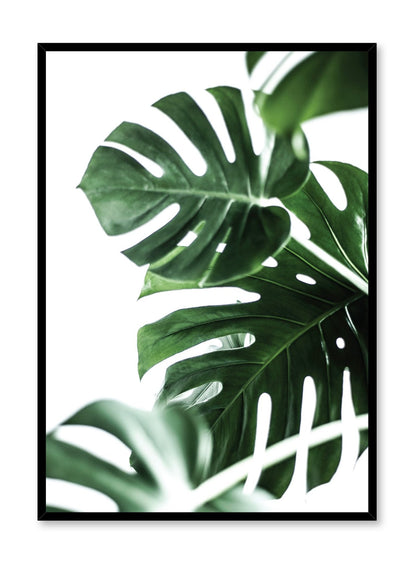 Wild Ways, Poster
