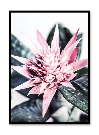 Desert Decadence, Poster