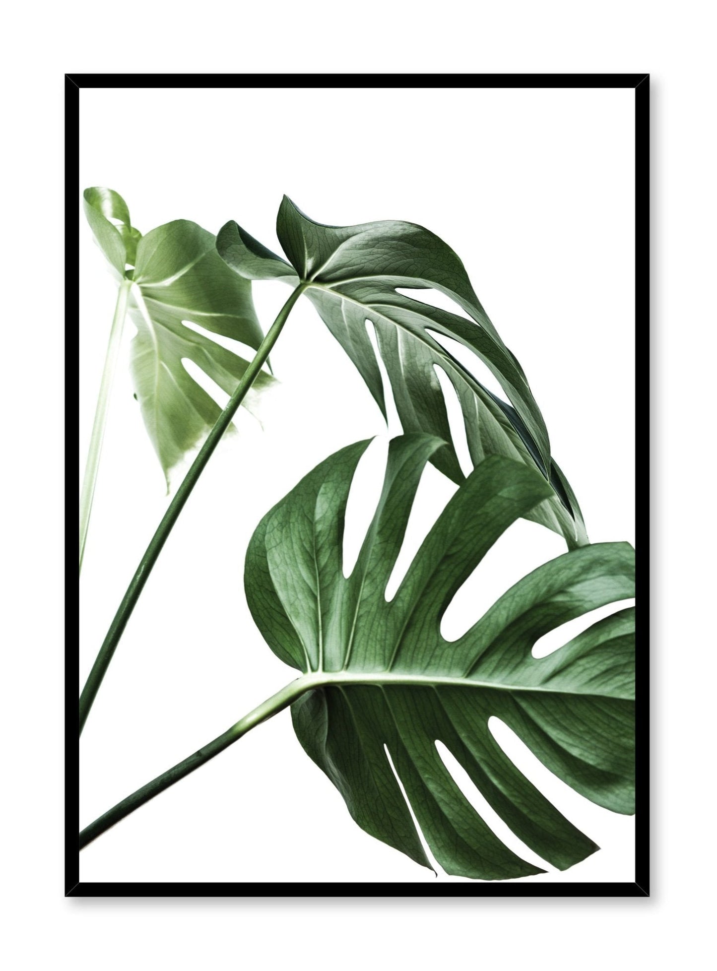 Three's a Charm, Poster