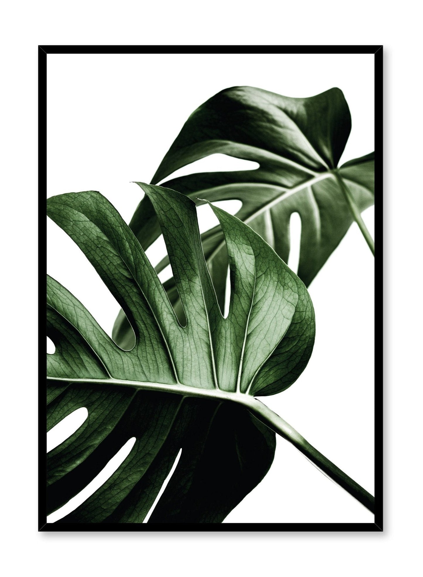 Overlap, Poster