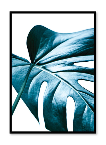 Nature's Glimmer, Poster