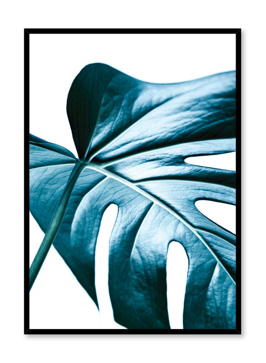 Nature's Glimmer, Poster