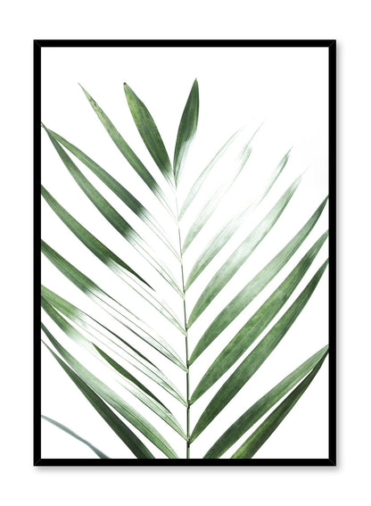 Sunlight, Poster