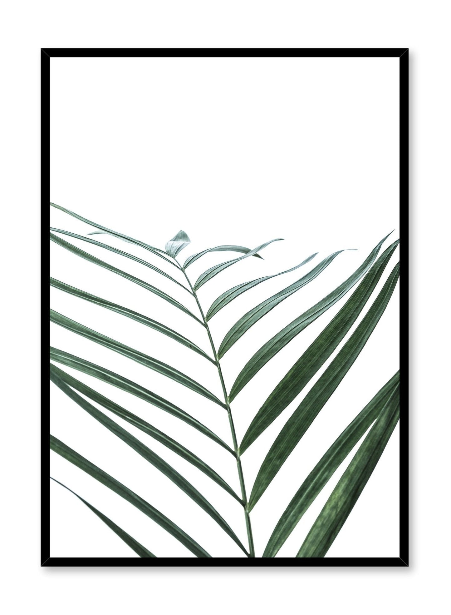 Curves, Poster