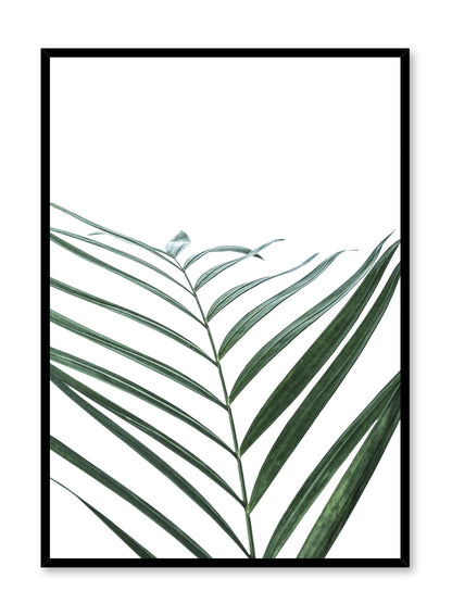 Curves, Poster