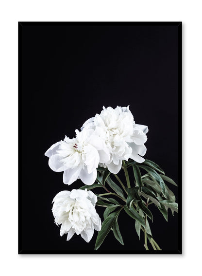 White on Black, Poster