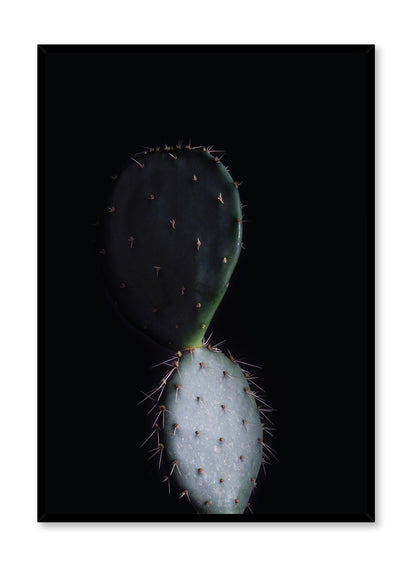 Reflection, Poster