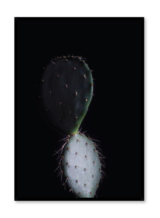 Reflection, Poster
