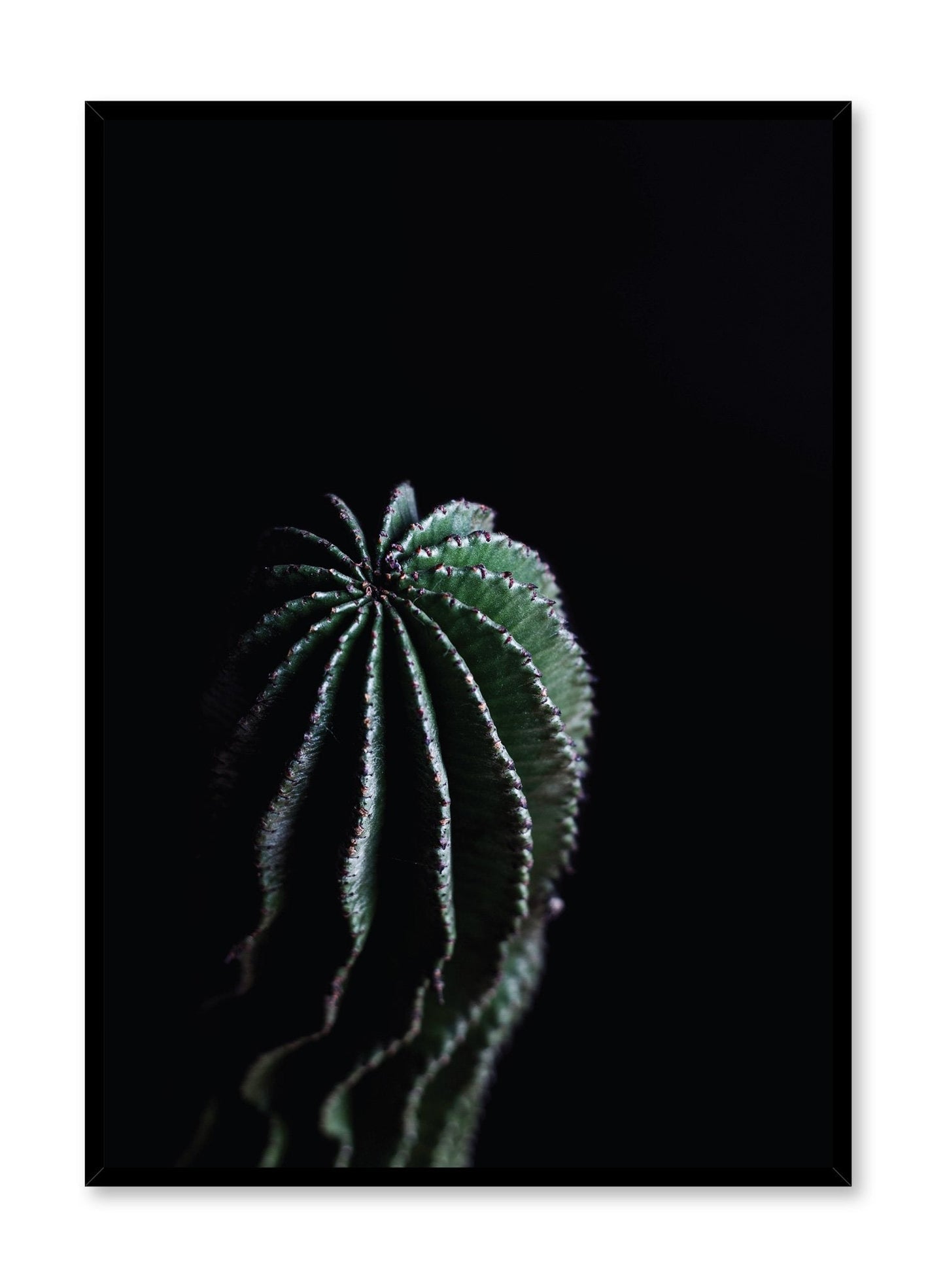 Shadows, Poster