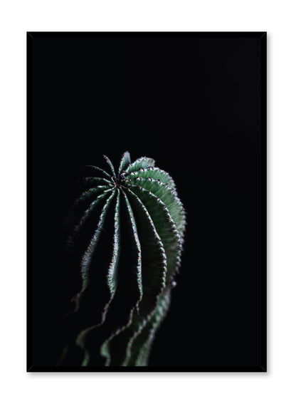 Shadows, Poster