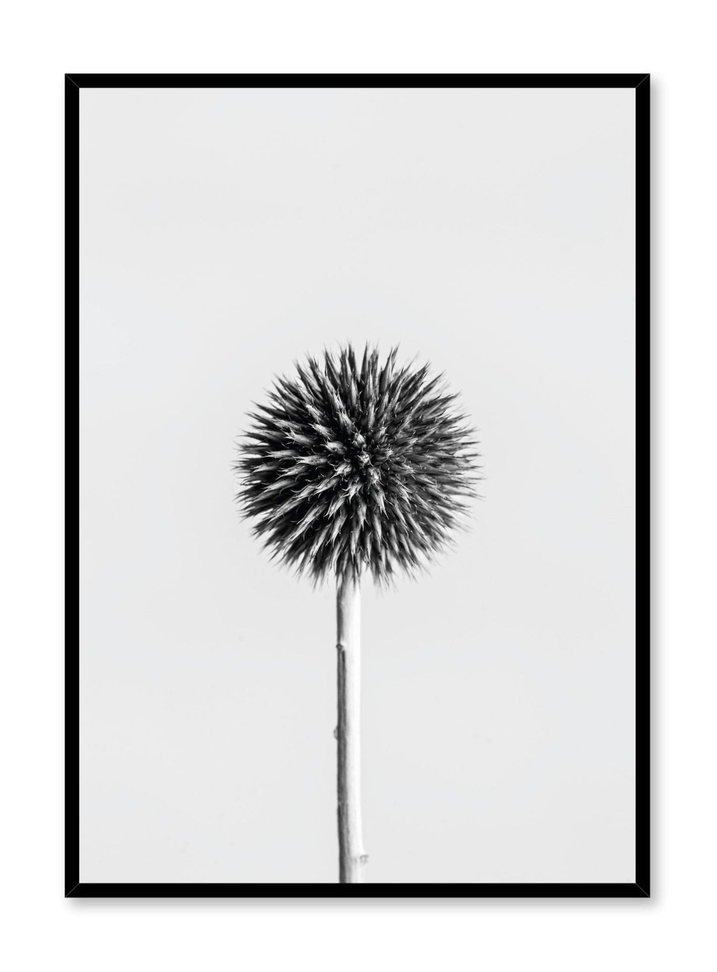 Silver Thistle, Poster