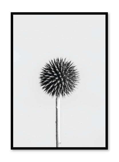 Silver Thistle, Poster