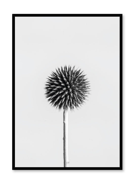 Silver Thistle, Poster