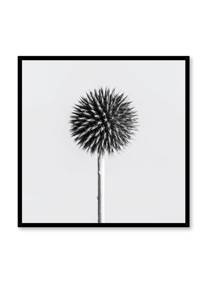 Silver Thistle, Poster