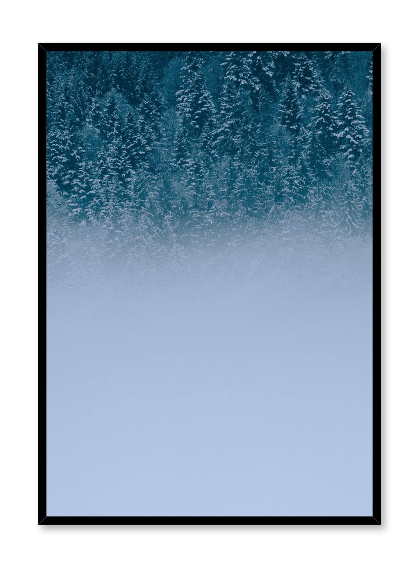Winter Forest, Poster