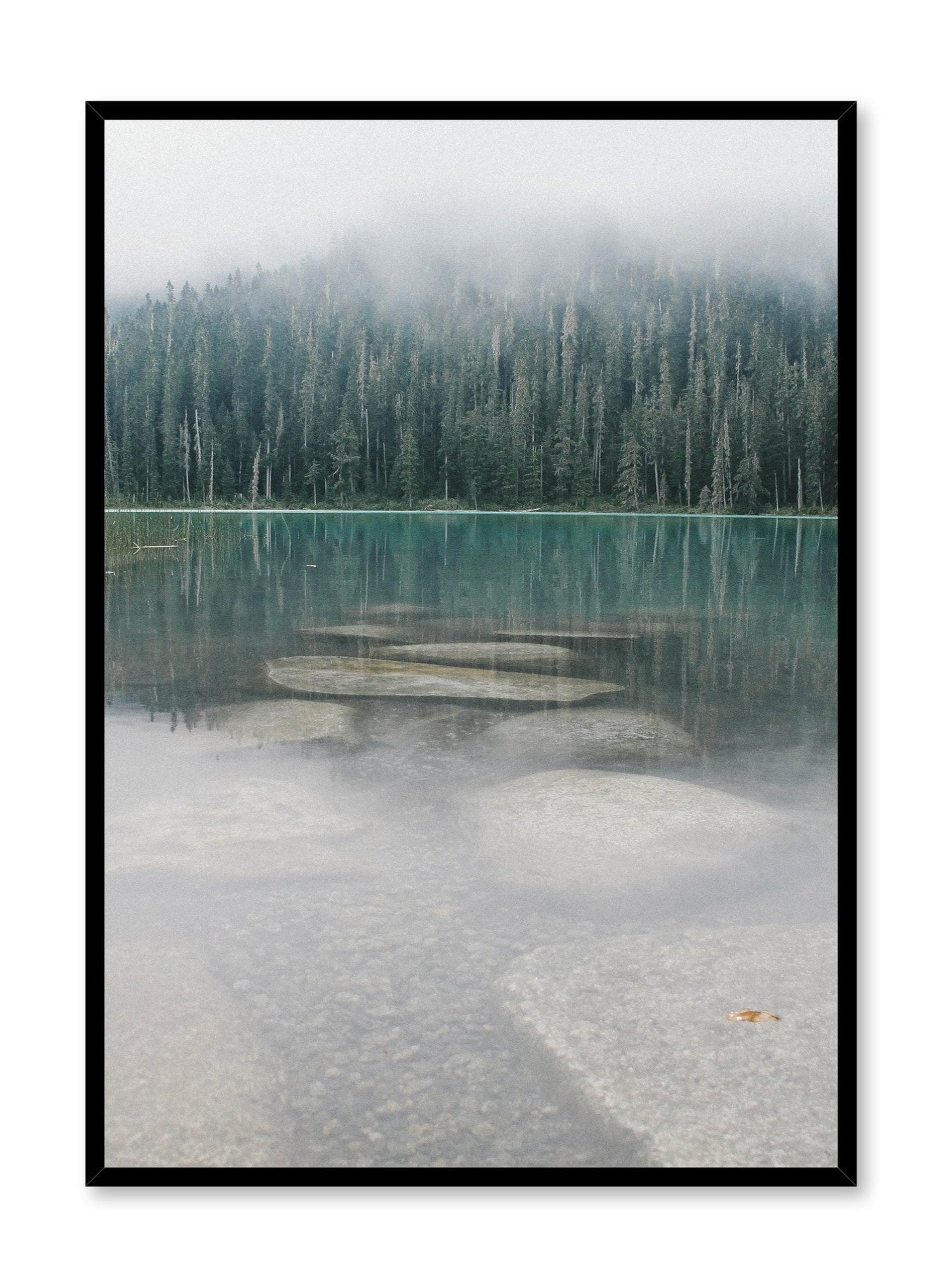 Mist, Poster