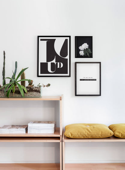 Limited Edition, Poster