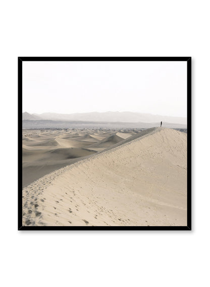 Desert Solitude, Poster
