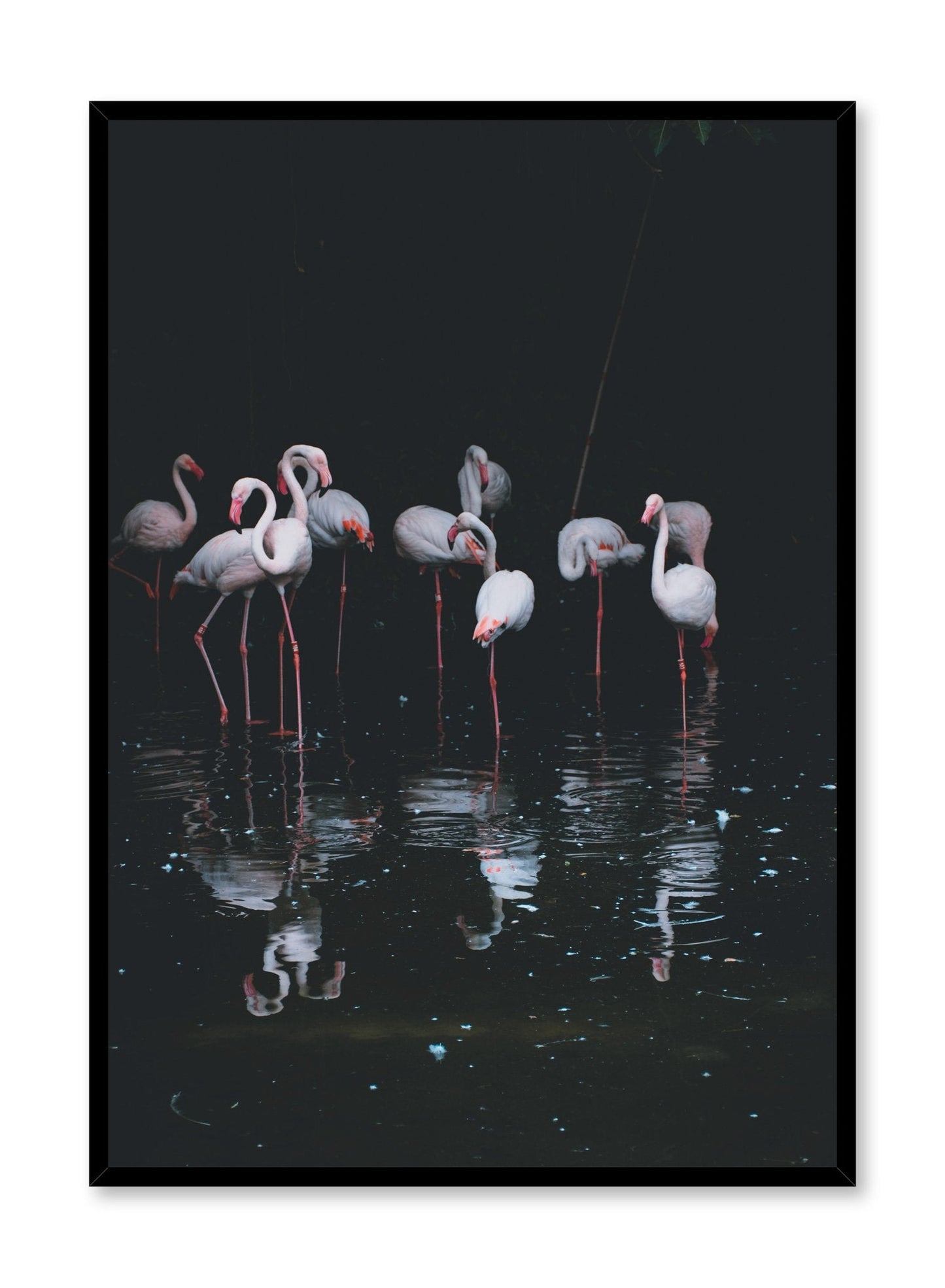 Pink Flamingos, Poster