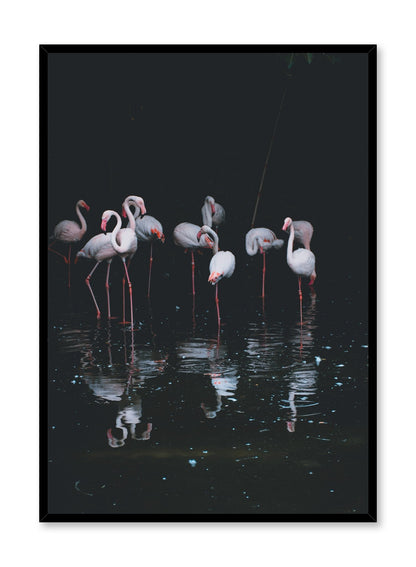 Pink Flamingos, Poster