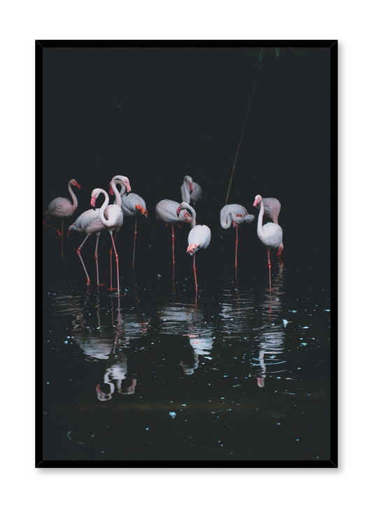 Pink Flamingos, Poster