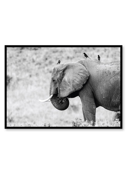 Elephant, Poster