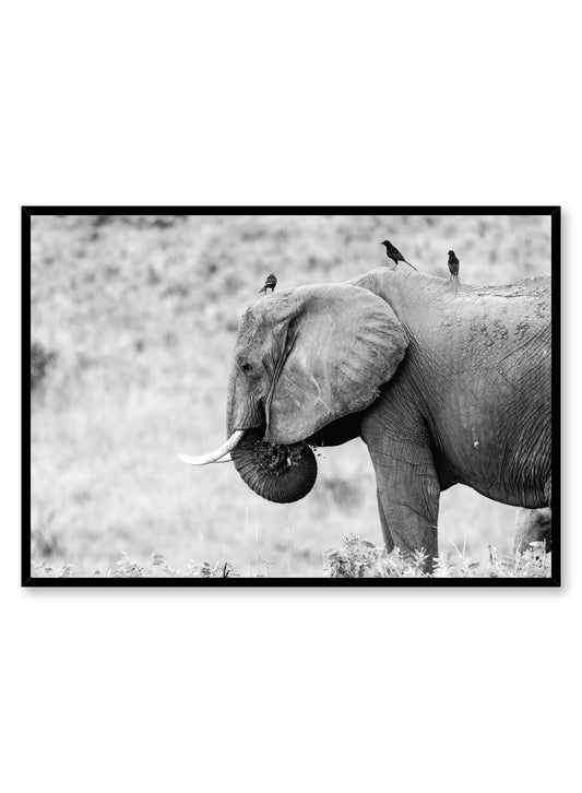 Elephant, Poster