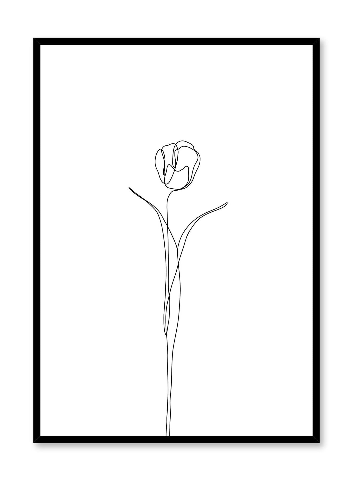 Tulip, Poster