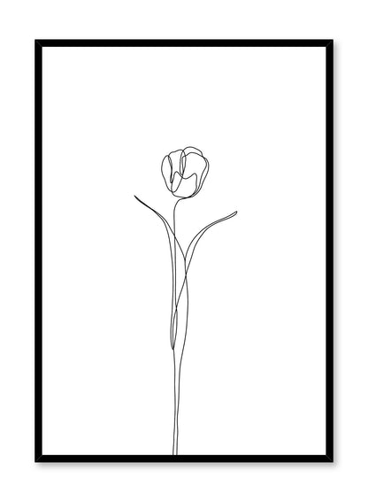 Tulip, Poster