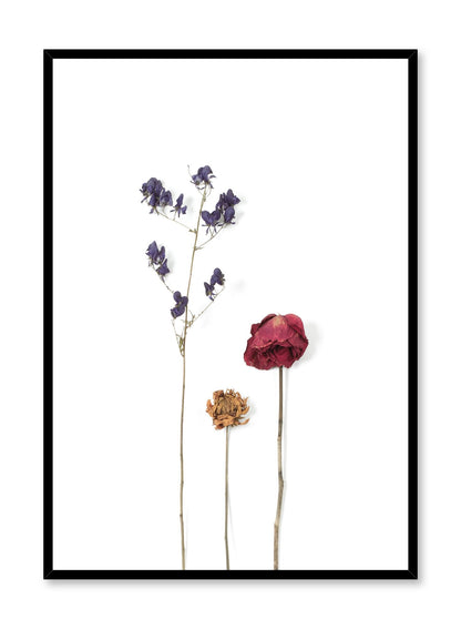 Trio of Dried Flowers, Poster