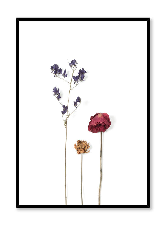 Trio of Dried Flowers, Poster