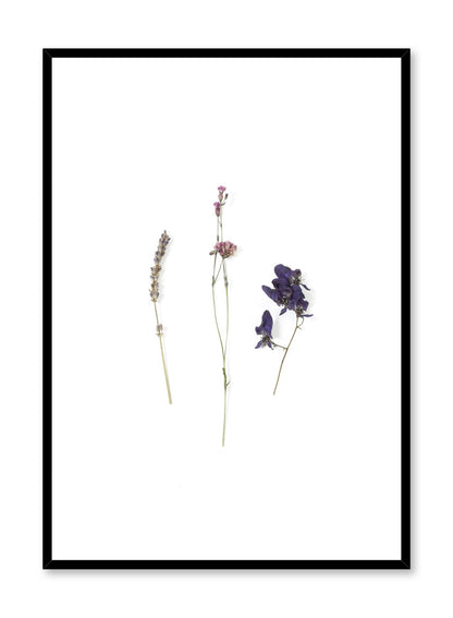 Mauve Dried Flowers, Poster