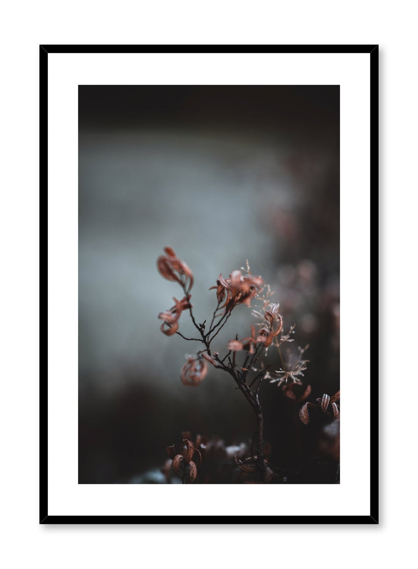 Delicate Flower, Poster