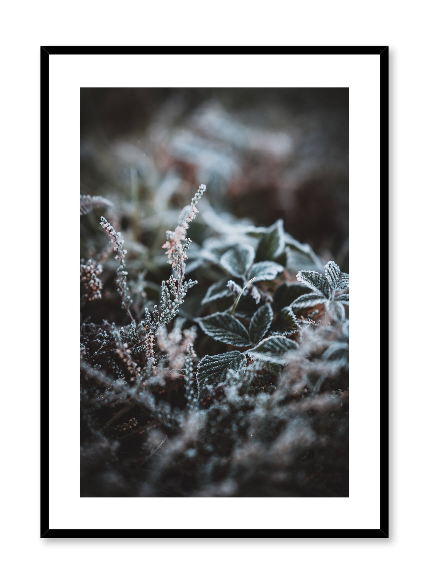 Winter Flowers, Poster
